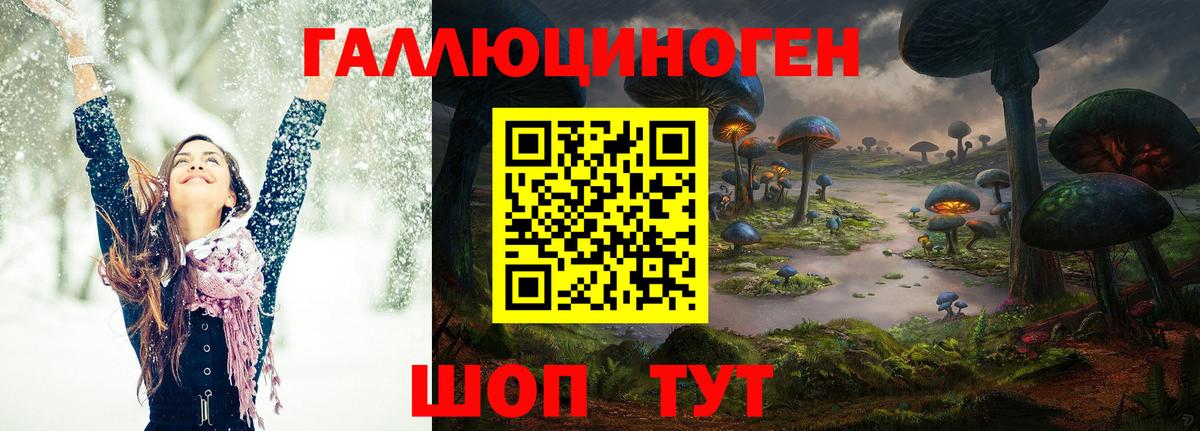 Псилоцибиновые грибы Magic Shrooms  Вход с VPN  Новосибирск 